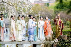 赏花、做漆扇、逛甜品市集！三八妇女节活动清单来了