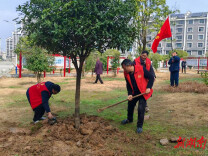 古塘乡新城社区：学雷锋践行动 清洁家园焕新颜