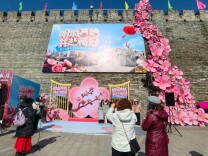 持续一个月！明城墙梅花文化节启幕，逛吃赏玩一站式→