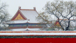 中式美学！故宫遇上春雪的氛围感