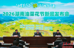 2200万亩油菜花开成海！湖南油菜花节3月11日启幕