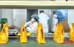 永顺：企业节后复工忙 奋力冲刺“开门红”