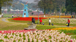 共赴春日花海之约
