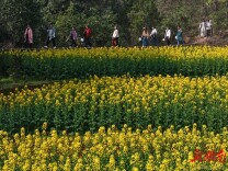 健步迎春展风采