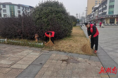 汉寿县太子庙学校：党建引领学雷锋，师生携手绘文明