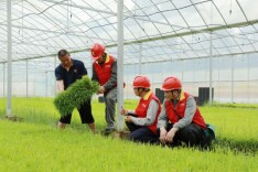 守护万家灯火 点亮美好生活——国网湖南电力东方红（邵阳）共产党员服务队纪实 | 湖南日报