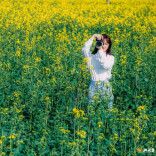 万亩花海已就位！第11届含浦油菜花季本周六启幕