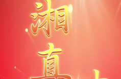  湘直巾帼绽芳华！这些个人、集体、单位获全国表彰