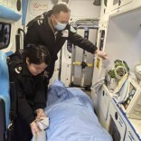 丙午马年新春：守护生命的 384 小时