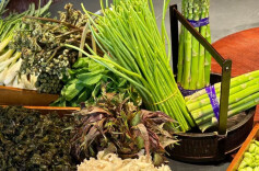 春鲜萌动，湘菜“轻”装上阵——2025三湘春季餐饮市场观察