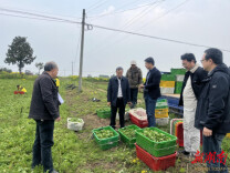 汉寿洲口镇：上好服务群众“新春第一课”