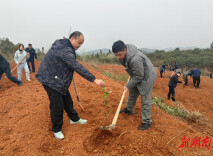 东安县委政法委义务植树为生态法治建设添新绿