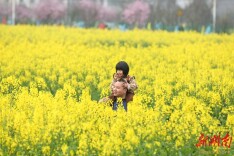 图集|踏青赏花 乐享周末