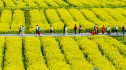 春日田园入画来