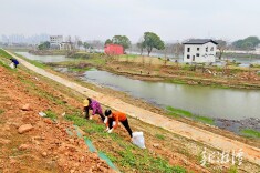 窑湾三期：打造回归原乡的诗意亲水长廊