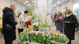 圣彼得堡举办鲜花展迎接妇女节