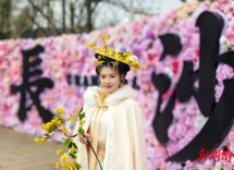 在靖港，遇见“花神”，遇见发光的“她”