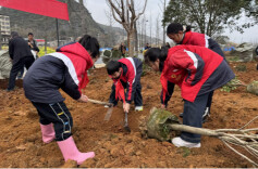 绿染江永春潮涌 干群齐心万象新——江永县全民义务植树活动侧记