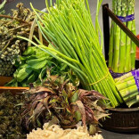 春鲜萌动，湘菜“轻”装上阵——2026三湘春季餐饮市场观察