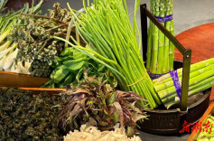 春鲜萌动，湘菜“轻”装上阵——2026三湘春季餐饮市场观察