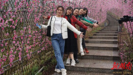 衡东花奇里：邀女同胞赴花海之约