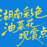 春光正好赏花时！湖南彩色油菜花地图出炉