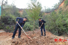 衡山县“四大家”参加义务植树活动