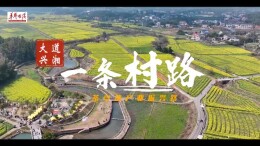 大道兴湘•一条村路 | 路通了，是我回乡的一个理由