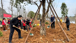 履行义务植树 共建美丽江永