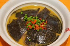 湘味里的非遗③｜匠心守根，创新焕彩，常德河洲甲鱼十八吃香飘全国