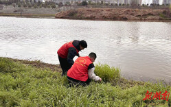 春风三月暖 邵阳学院学子续写新时代雷锋故事