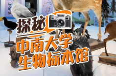 探秘中南大学生物标本馆！一起走进独属于中南的“动物世界”