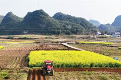 Farmers Busy with Farm Work in Jiangyong County