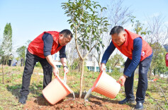 网上线下都可预约参与我省义务植树