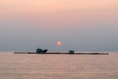 杜万红 | 再访4000余公里广东海岸线：向海而生