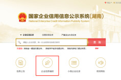 建议收藏 | 年报填报指南速览，今年有两点新变化（附咨询电话）