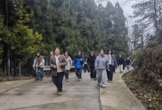 龙山县第三小学：逐风而行 悦享春光