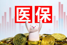 2026年湖南居民医保财政补助标准将提升至724元