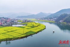 春到水乡 画里行舟|湖南日报·图片新闻