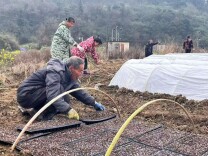 宜章五岭镇：人勤春来早 沃野启新程