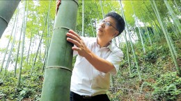 吴义强代表：以科技之力赋能绿色发展