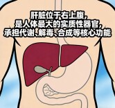 切掉部分肝脏后还能正常生活吗？答案藏在这篇里