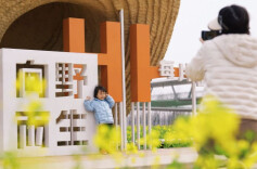 Canola Flowers Start to Blossom at Daze Lake Near-Natural Wetland Park