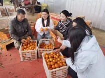 桂阳县雷坪镇“巾帼带货” 助力农产品销售