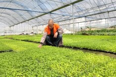 入乡桂东 深耕蔬菜 赋能振兴——记2025年度郴州市“十大返乡入乡创新创业人才”向瑞红