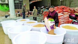 乡村振兴看湘潭丨全市春耕育秧忙起来