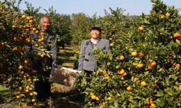 洞口县竹市镇：以农为基、以文为魂、以旅为媒 激活乡村振兴新动能