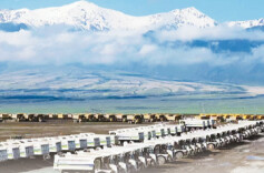 以发展新质生产力增强经济竞争力——代表委员学习习近平总书记两会重要讲话精神共话推动经济向新而行