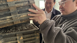 专家组团下田为春耕注入科技动能