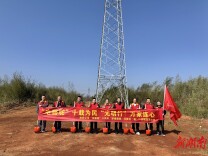 为绿充“植”，“电骆驼”植出电网新绿